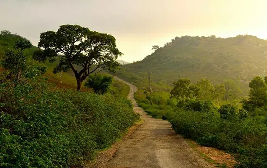 Pipliya Ji cloud-covered mountain peak near Udaipur